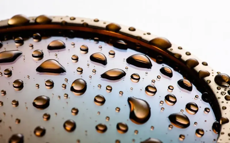 Lens Coating & Tinting
