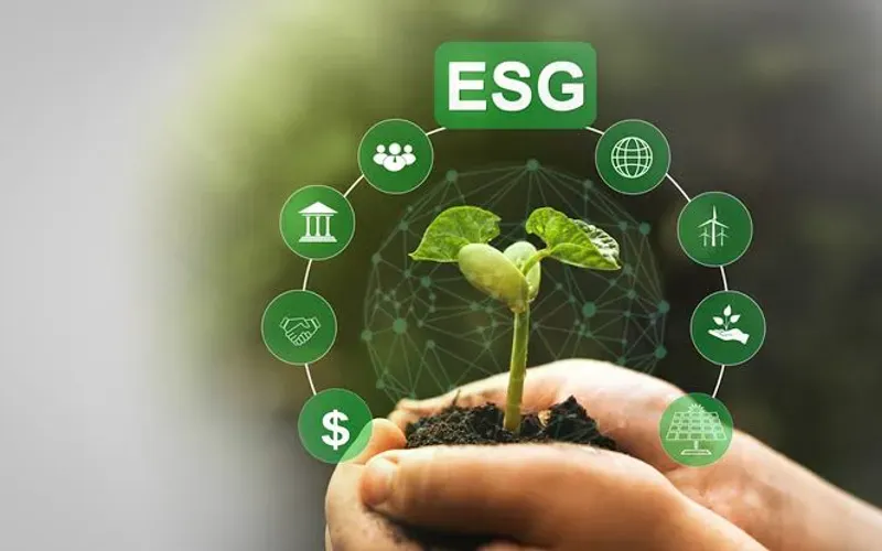 ESG & Brand Sustainability Teams